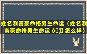 姓名测富豪命格男生命运（姓名测富豪命格男生命运 🦅 怎么样）